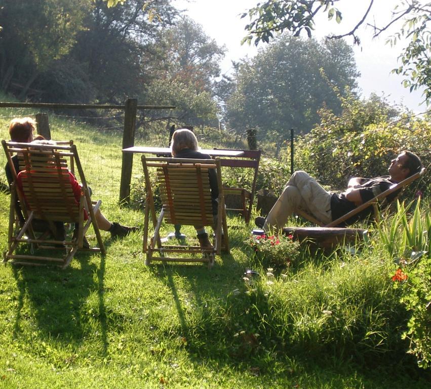 Maison D'Hotes De La Verriere Les Ardillats Zewnętrze zdjęcie