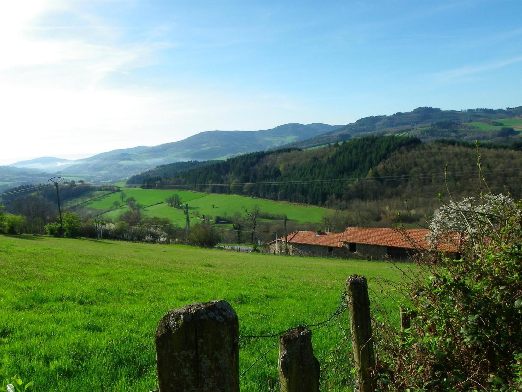 Maison D'Hotes De La Verriere Les Ardillats Zewnętrze zdjęcie